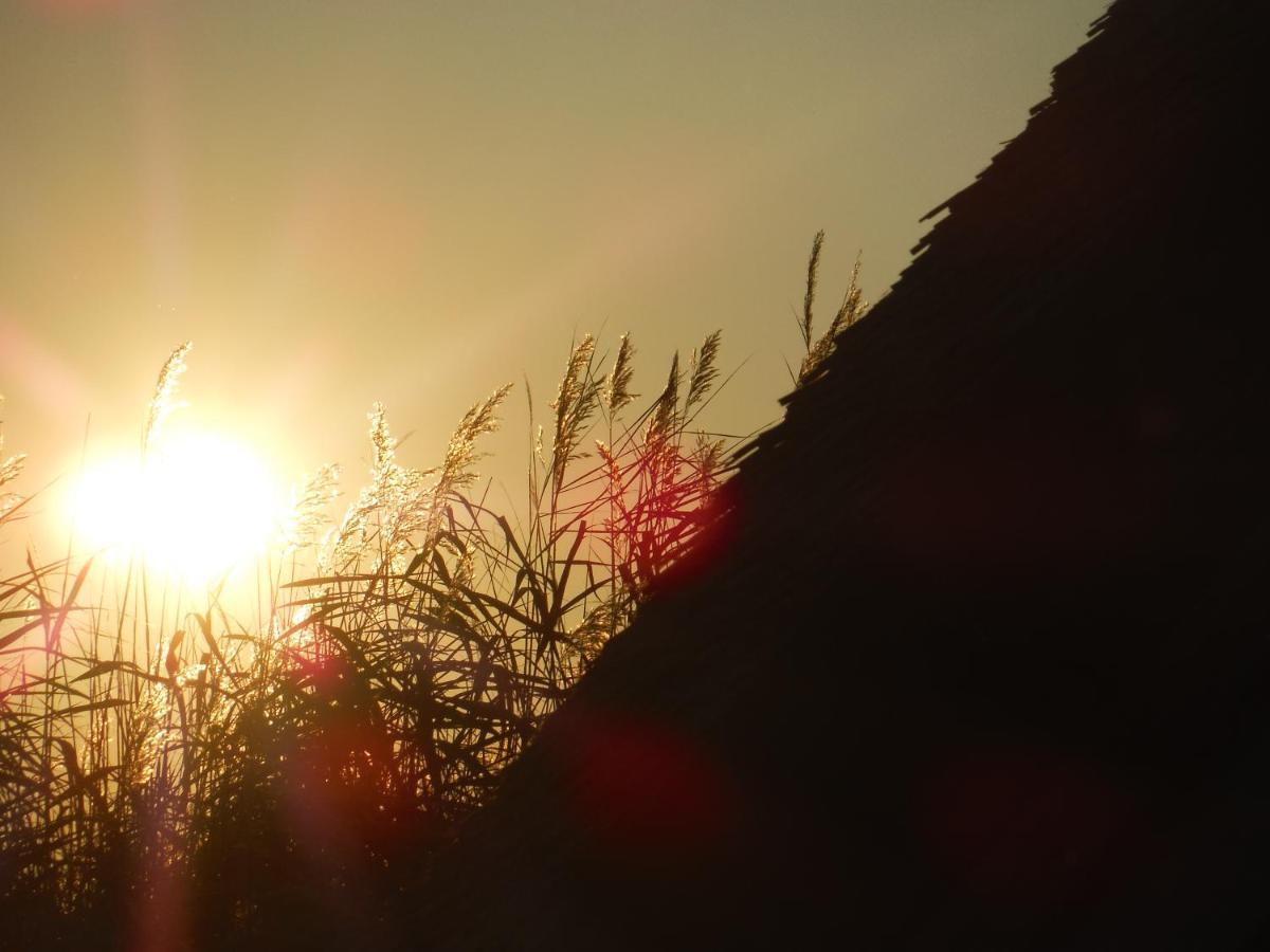 רוסט Pfahlbau Sunset I Toplage Elektroboot Inklusive מראה חיצוני תמונה