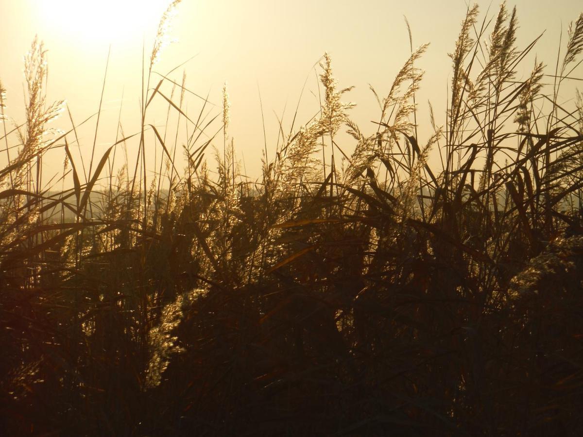 רוסט Pfahlbau Sunset I Toplage Elektroboot Inklusive מראה חיצוני תמונה