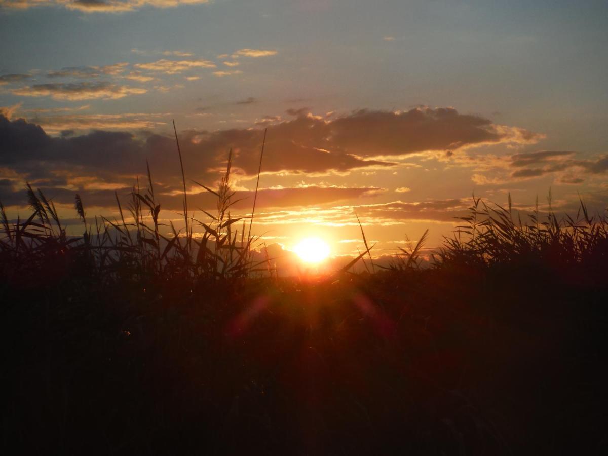 רוסט Pfahlbau Sunset I Toplage Elektroboot Inklusive מראה חיצוני תמונה